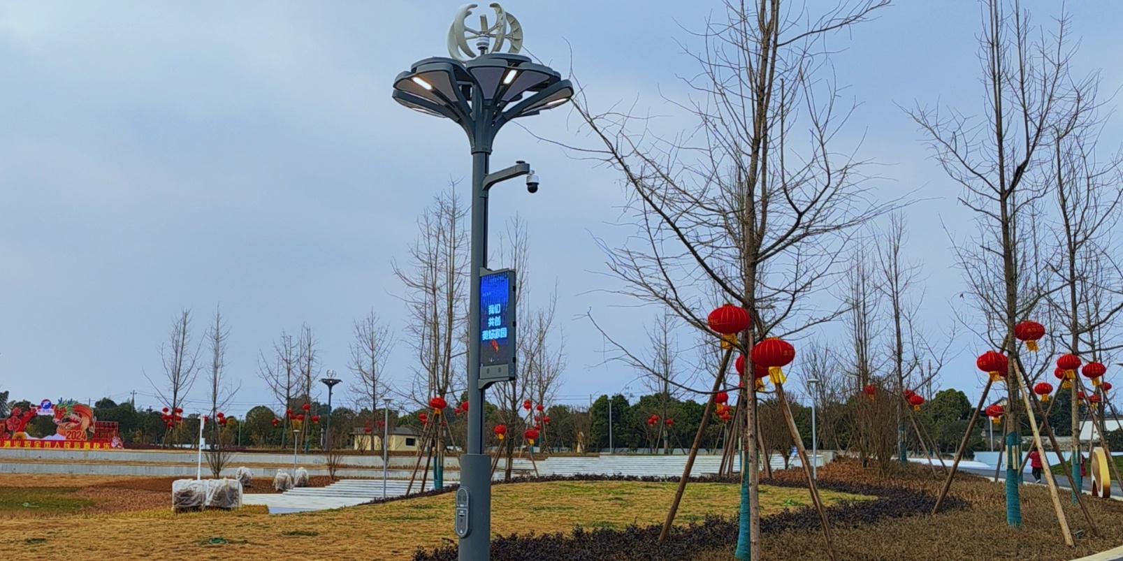 快來圍觀，種在綿竹市城北濕地公園的“智慧樹”亮燈啦